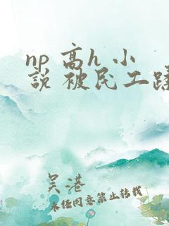 np 高h 小说 被民工蹂躏