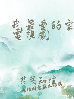 我最爱的家人 电视剧