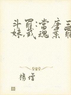 斗罗:当唐三妹妹,武魂叶罗丽的小说