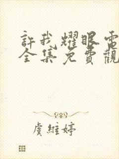 许我耀眼电视剧全集免费观看14集