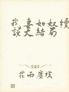 我妻如奴续写小说大结局