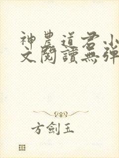 神农道君小说全文阅读无弹窗