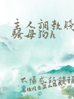 主人调教贱货,骚母狗h