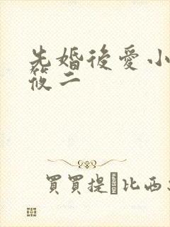 先婚后爱小说梦筱二