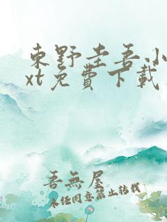 东野圭吾小说txt免费下载