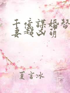 千亿谋婚替嫁娇妻超凶萌