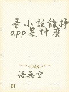 看小说能挣钱的app是什么