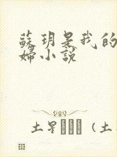 苏玥是我的儿媳妇小说