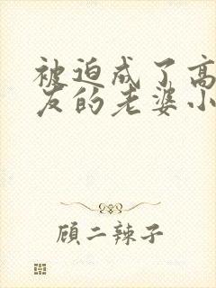 被迫成了高冷室友的老婆小说阅读免费