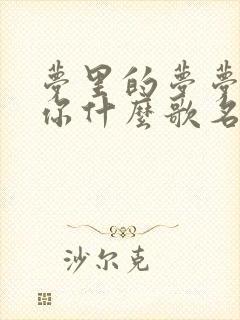 梦里的梦梦里的你什么歌名