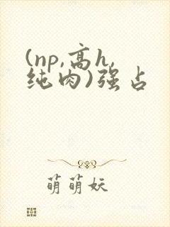 (np,高h,纯肉)强占