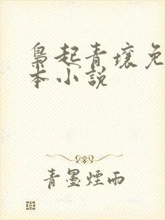 枭起青壤免费全本小说