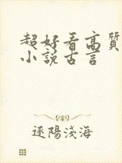 超好看高质量的小说古言