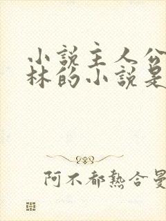 小说主人公叫王林的小说是什么