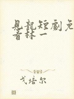 见龙短剧免费观看林一
