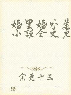 婚里婚外叶晓井小说全文免费阅读