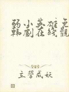 弱小英雄免费的韩剧在线观看完整版