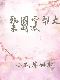 韩国雪梨大尺度未删减