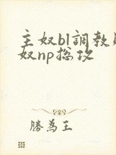 主奴bl调教贱奴np总攻