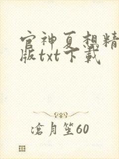 官神夏想精校正版txt下载