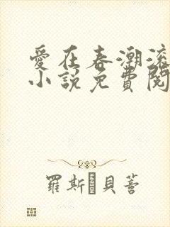 爱在春潮滚滚来小说免费阅读
