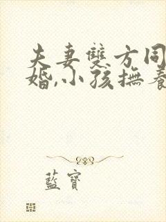 夫妻双方同意离婚,小孩抚养权归谁?