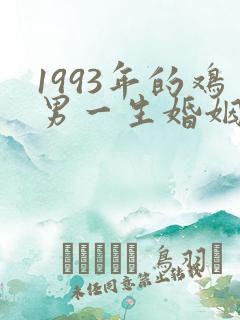 1993年的鸡男一生婚姻状况