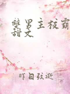 双男主校霸校园甜文