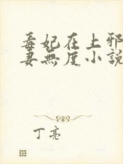 毒妃在上邪王宠妻无度小说