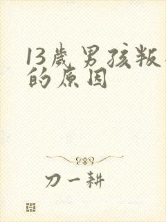 13岁男孩叛逆的原因