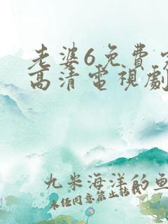 老婆6免费完整高清电视剧