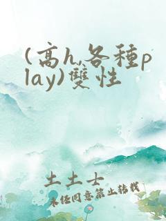 (高h,各种play)双性