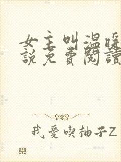 女主叫温暖的小说免费阅读