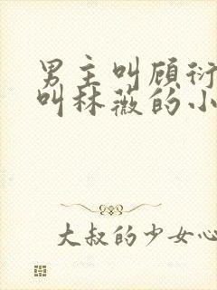 男主叫顾衍女主叫林薇的小说