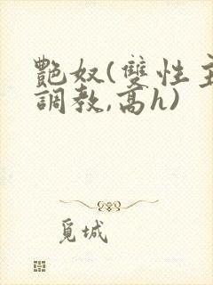 艳奴(双性主奴调教,高h)