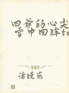 四爷的心尖宠妃 雪中回眸txt