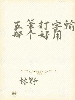 五笔打字输入法哪个好用