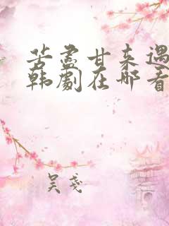 苦尽甘来遇见你韩剧在哪看