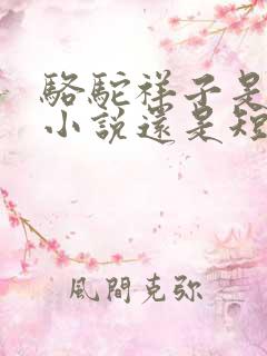 骆驼祥子是长篇小说还是短篇小说