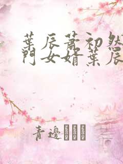 叶辰萧初然 上门女婿叶辰