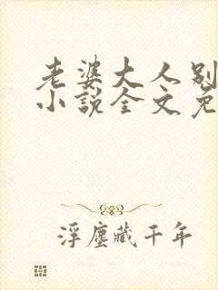 老婆大人别想逃小说全文免费阅读