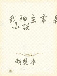 武神主宰 秦尘 小说