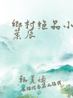 乡村绝品小神医叶辰