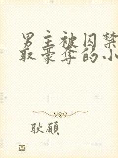 男主被囚禁被强取豪夺的小说