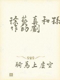 徐艺真和孙越合作的剧