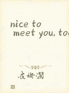 nice to meet you, too翻译中文