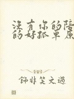 没有你的陪伴真的好孤单原唱