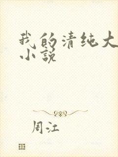 我的清纯大小姐小说