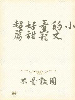 超好看的小说推荐甜宠文