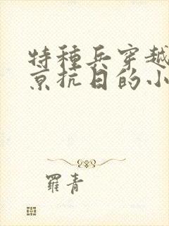 特种兵穿越到南京抗日的小说